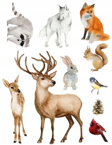 3f2ccf2cfa378b09bd2168ac10333193