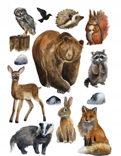 1433e8b9466e84f41075ce0c4b424f01