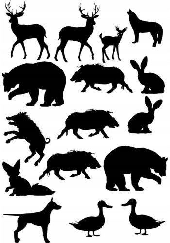 1a247e1951df33bae872e8e7b3abb6ce