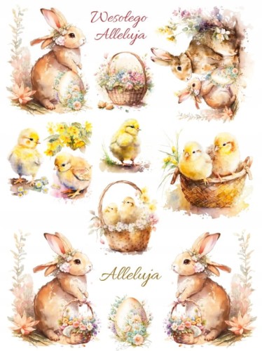 a5b55dc485324e81756410c986338085