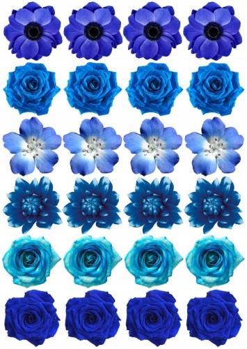 8760f68f9e38e2bc9cd55177181a9f9a