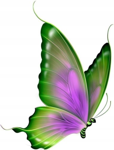 edcfe657731dbe69afabfcbacb6df382