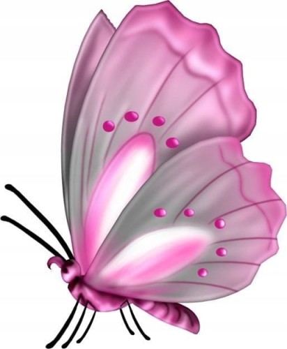 965b7aa5e8d0e40f4b263238dd0c8de7