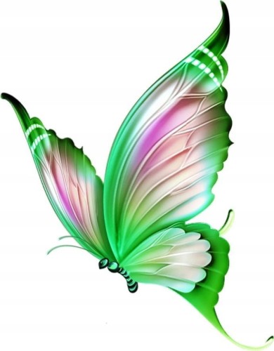 c55ee1645e7b93f4a11a3bb3313784ab