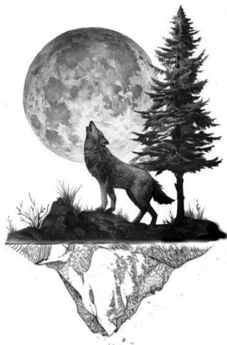 a1ca7edf3eedd8a593b28fcfddc8e8e7