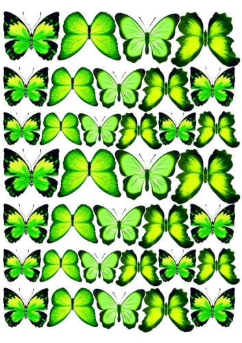 527a28435a4e08d30c06be726f8cc075