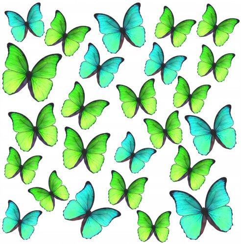 288f345cb8e7cf1cc76a074e32c4a94d