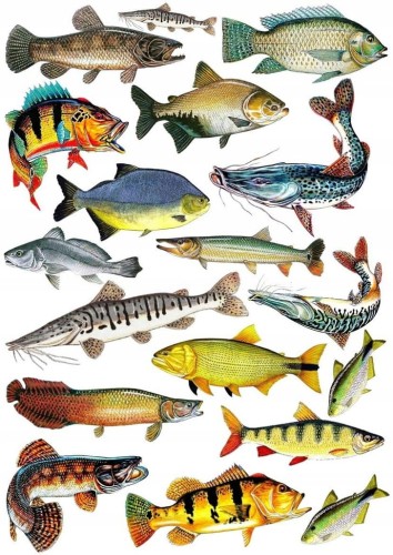 2353306a09e687e5e9ca3ce2a9e3163d