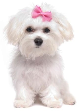 28bcbe6edb8c60cb63b3102f2c1f958a