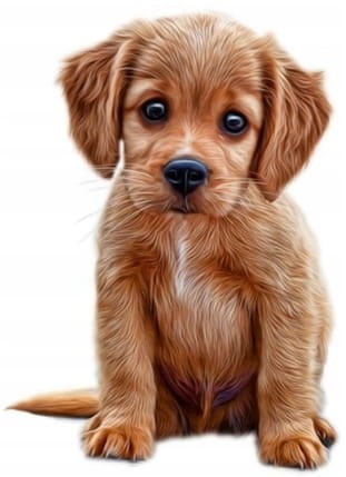 615855e8db5423e336b9286597478c07