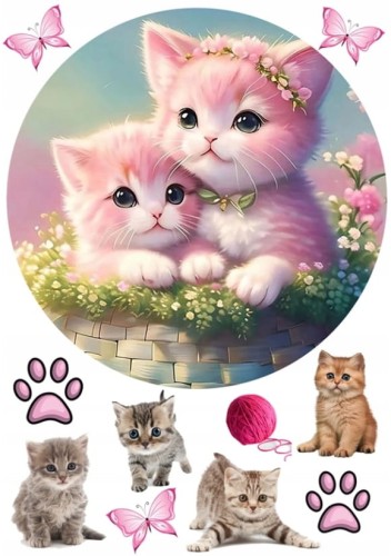 00d5b3ef87ff77d3a55ea3d0605fb0fe