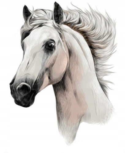 b29b487483843ae639b8d9e18d66f2c0