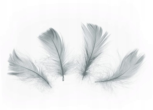 30e2ac5713e773ed9bd902bdf6eb66b0