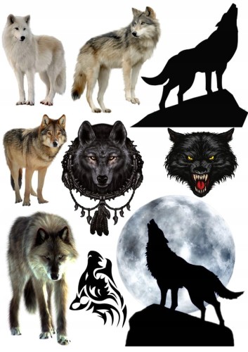 dc2e02af38f69a022803ffc917a7a6e8