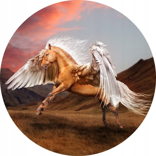 9cbf87306dd8a36d3346269702efc84b