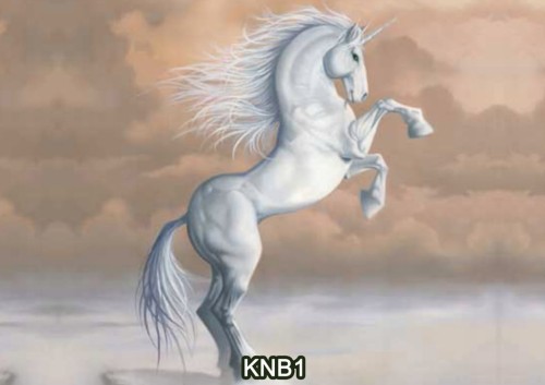 d2e92b2eb64c8ddb9269d27d7921afe4