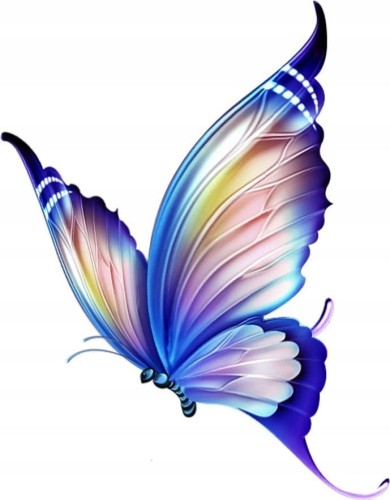 b8872f40b07f2a1901b645c28a980c1d