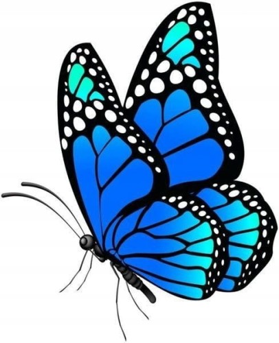 4da29c9e0911e52368ffa8c977da431c