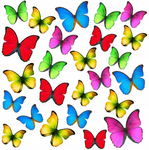 e68355132badf6f0f7f50deec8098fb1