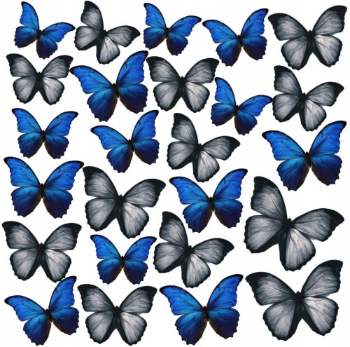 56d0ca9eed2fc22151f24af18089626b