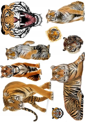 3c69b62fe44b3329b11580a3507bd17d