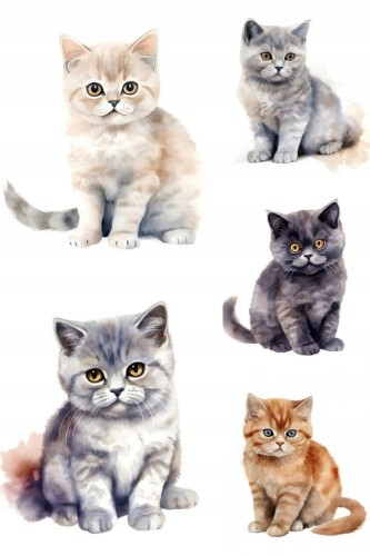 27180408058b7a1b2d7cf914da56c47d