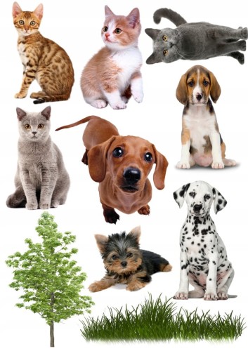 708c7476f095af2e473e051c98941cdc
