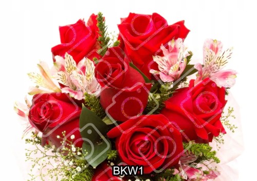 ed5a4ffd78c8788ca78c40ea49811ac0