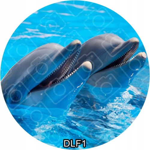 c7250920310d225eefb5cfb9b1dfa3d7