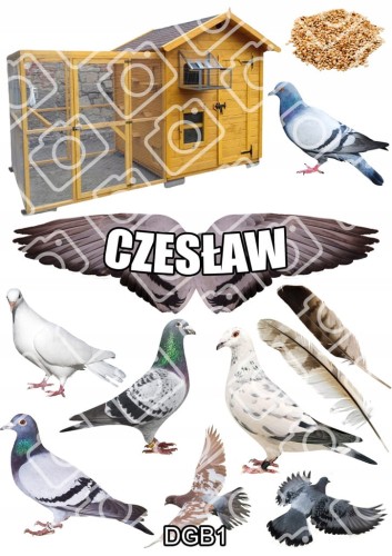 e384963e1e85cf7ceed2b2d355fbb6fd