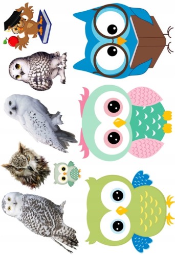 8acec3ecc49781690421e231caddac49