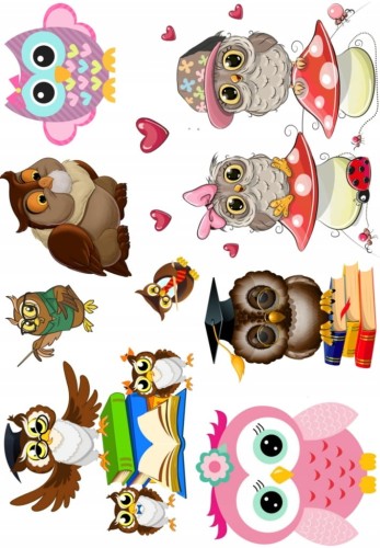 d24ddae790c6880533da89542b343f80