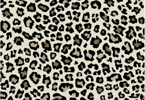 6973c996c346f3423d0d9e6c1eed0940