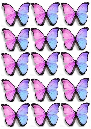 7d7419913de3ee65e528aacc0ca4bc52