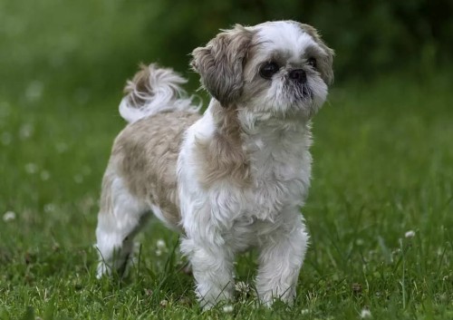 ba7243fad6e911e96115ef04c37b7d66