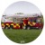 a3202e3a38360dcab8d040a4e903a30e