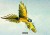 b5262fc1fb472520fcaf54ddbd8a107c