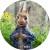 a31c2fb7d4a109a6e9417c3ce11d4d25