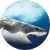 5d9771af314d0cd5fcee53183275eae5
