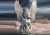 16bf7d413ea9cd7bc901ce8116b3c3f9
