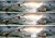 bd175f2e937b0af04d2b50a10b455c06