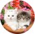 816fb8ffb674d35a3e8b2051e4d971e6