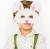 13bf0d54578311c37185a7fa8c44fcc8