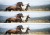 a722ec01088fa79cd78ed3c234d650df