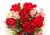 ed5a4ffd78c8788ca78c40ea49811ac0