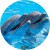 c7250920310d225eefb5cfb9b1dfa3d7