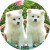 6ff8ac06a51a997292c74dfadcde51fe