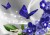 34fd46e18c338feb0e7adfa4387c6b20