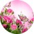 37be96c8da766d9d3568dd9327794bbc