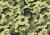 bcd89b101a630583b4851c71a938eccf